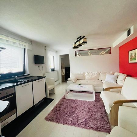 Apartmany Pod Troma Korunami Červený Kláštor Exterior foto